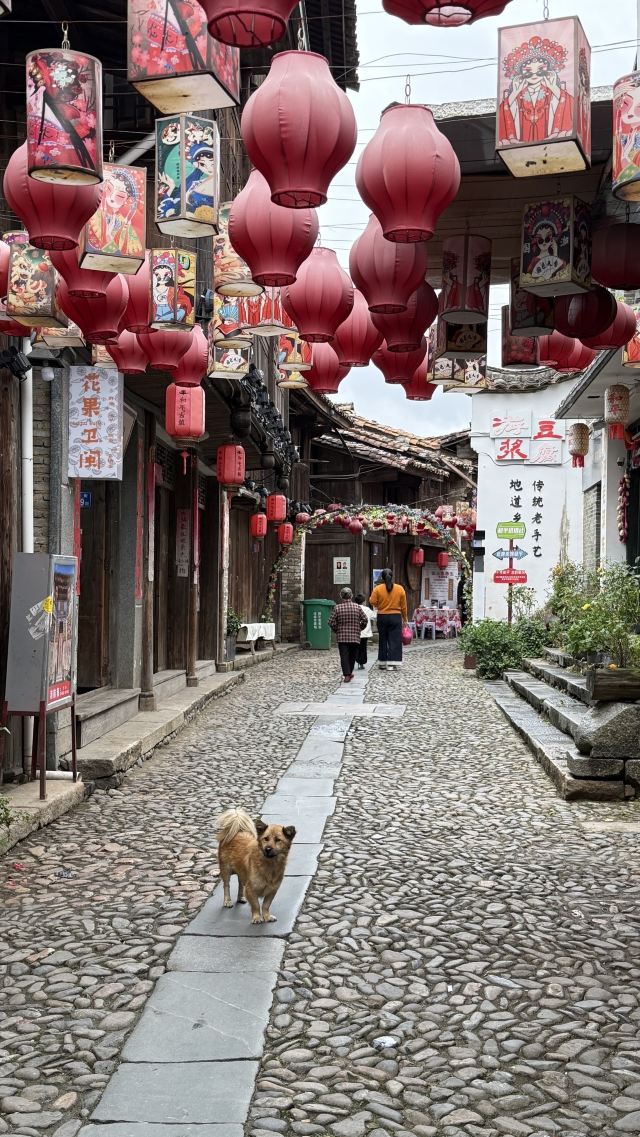 和平古镇旅行图片 9