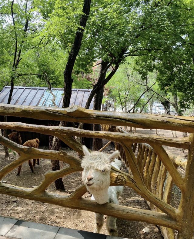 抚顺市劳动公园旅行图片 2