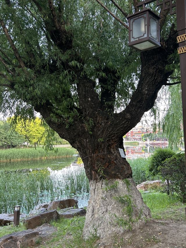 劳动公园旅行图片 2