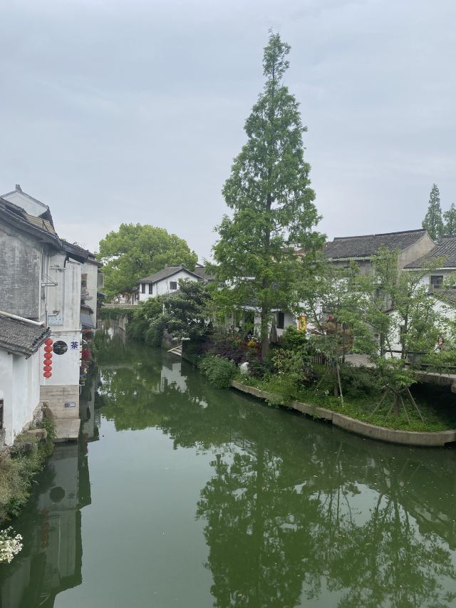 青溪老街旅行图片 5