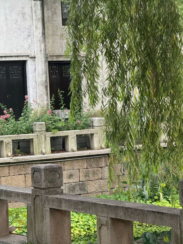 荡口古镇旅行图片 4