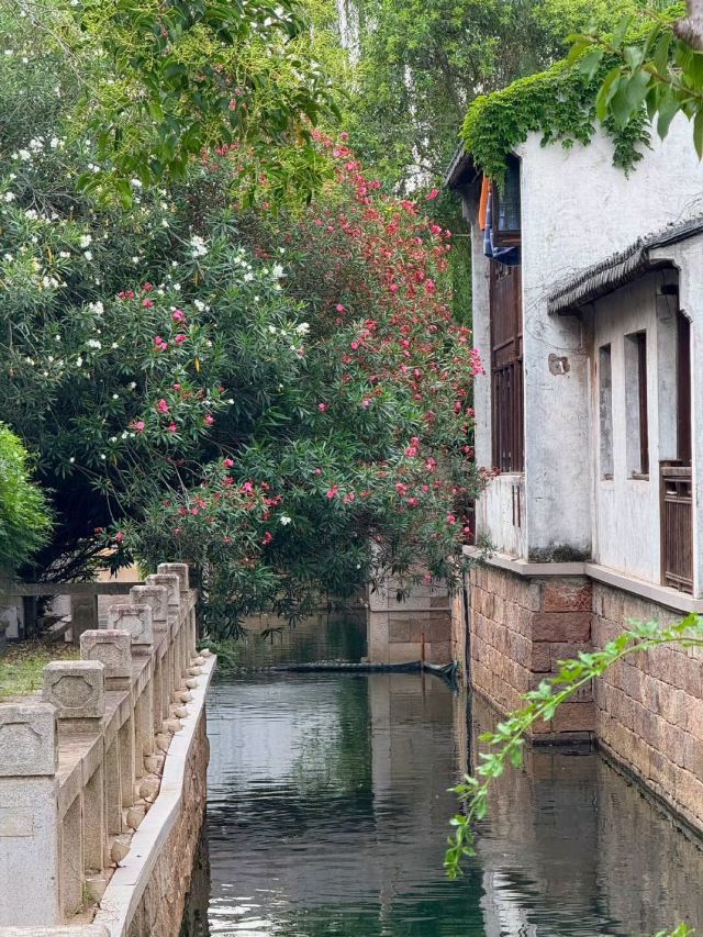 荡口古镇旅行图片 6