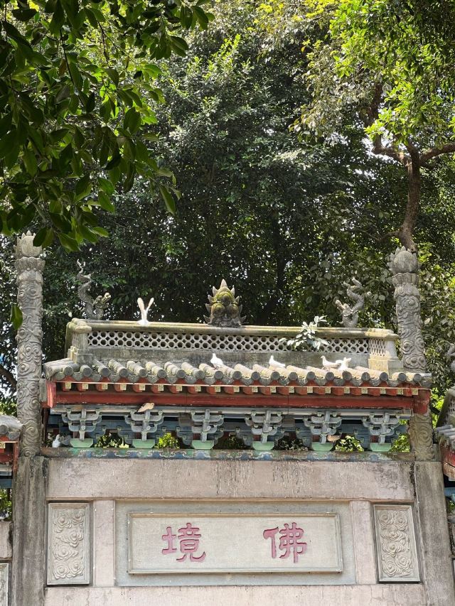 白云山风景名胜区旅行图片 5