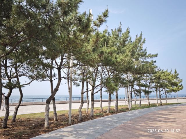 烟台金沙滩海滨公园-观景台旅行图片 3