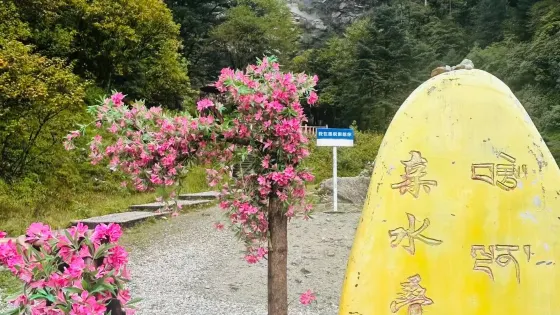 親水疊瀑