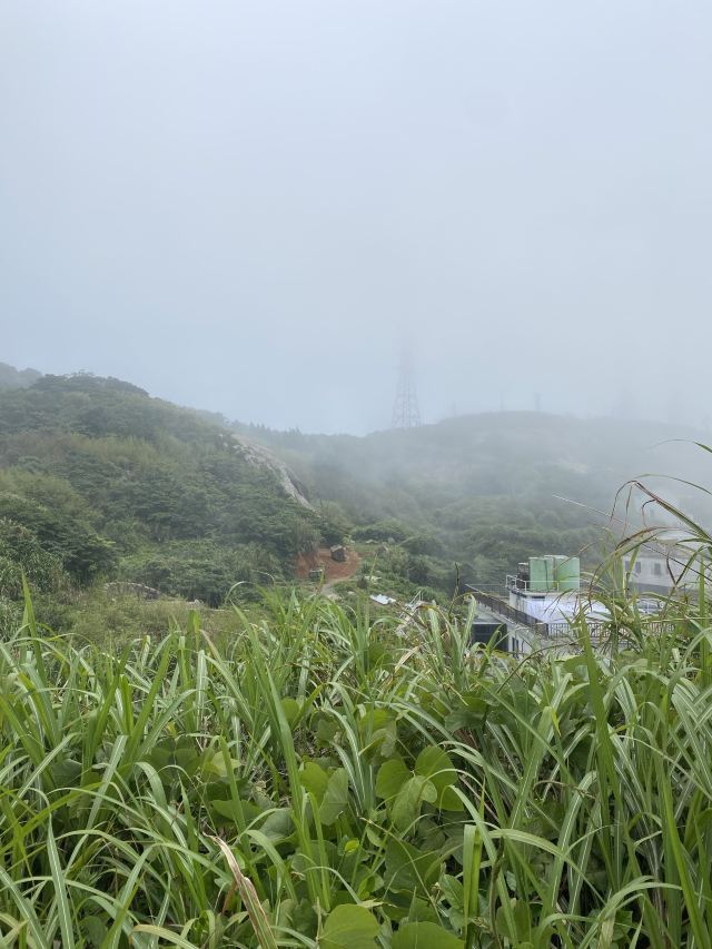 金山城市沙滩旅行图片 1
