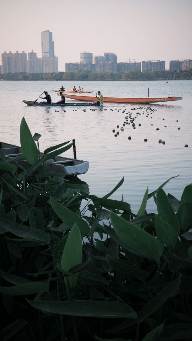 顺峰山公园旅行图片 1