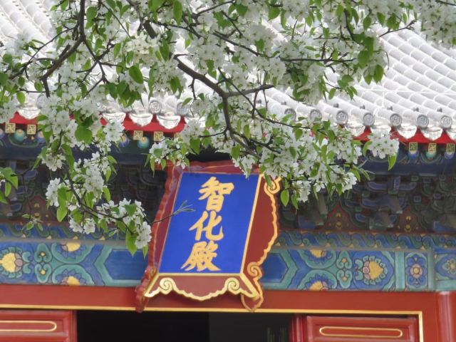 智化寺旅行图片 1