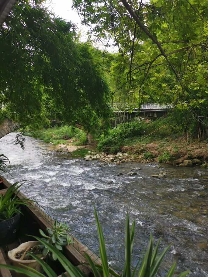 水乡竹园农家乐餐厅图片