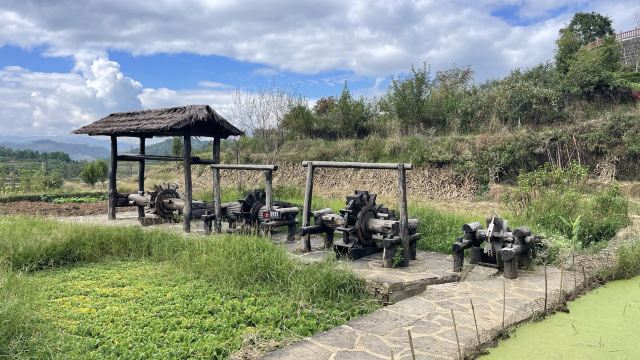 司莫拉佤族村-游览车乘坐区旅行图片 4