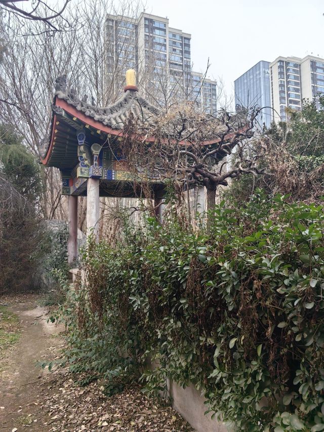 轩辕殿旅行图片 12