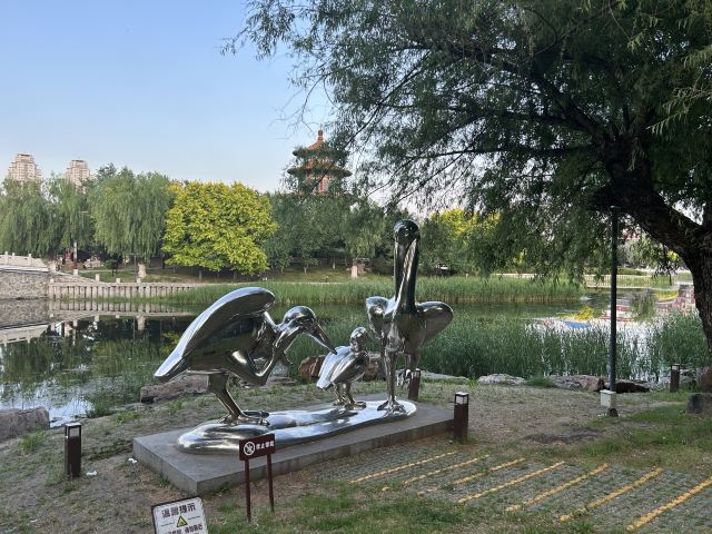 劳动公园旅行图片 3