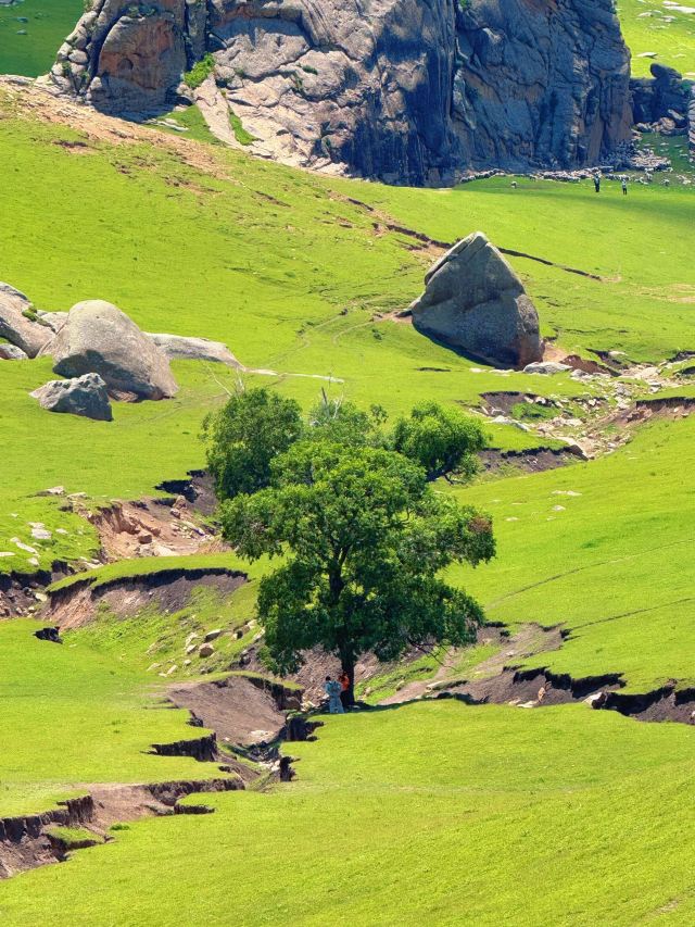 灯笼河子牧场旅行图片 1