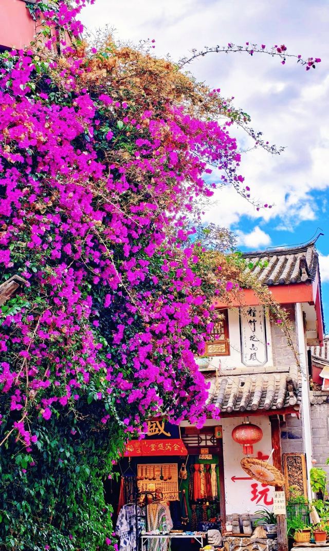 束河古镇旅行图片 1