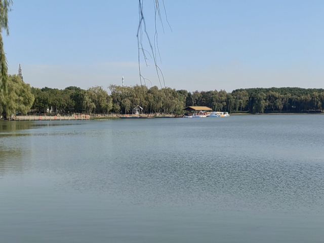 大纵湖旅游度假区旅行图片 1
