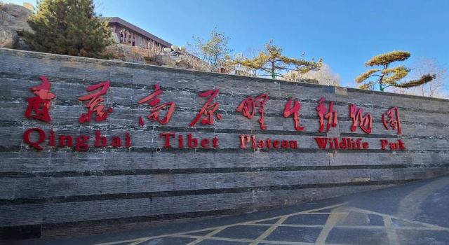 西宁野生动物园旅行图片 3