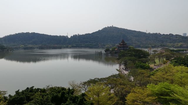 顺峰山公园旅行图片 3