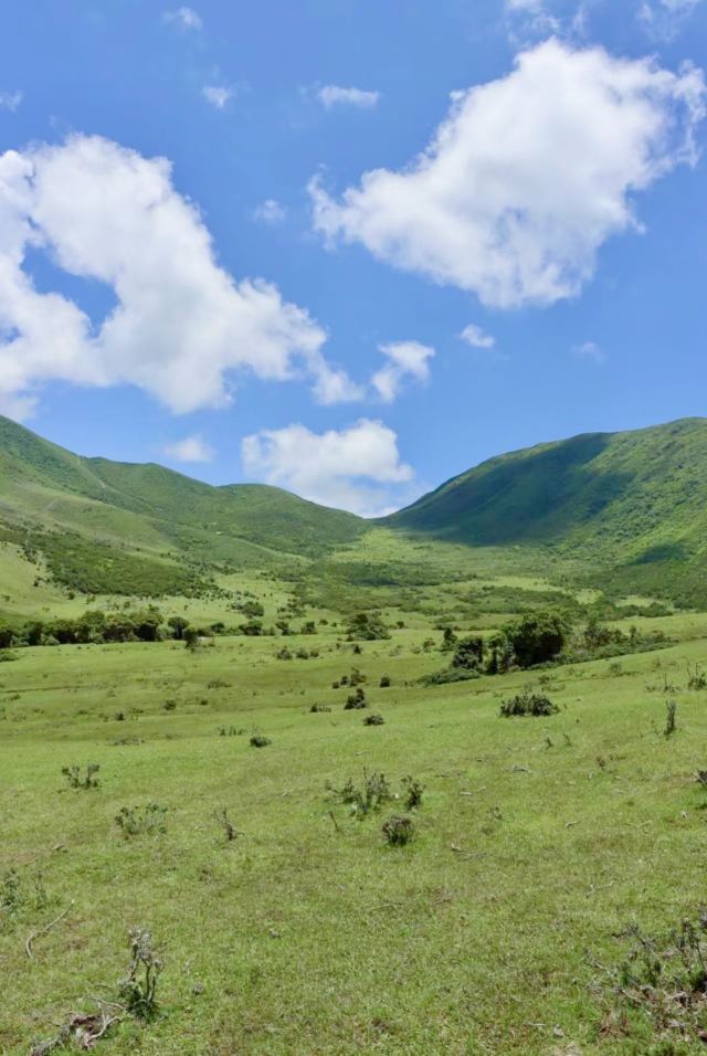 鸟吊山旅行图片 3