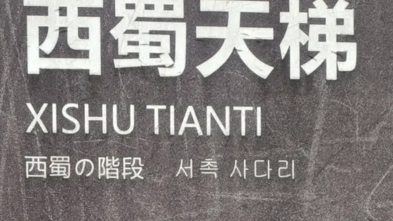 西蜀天梯