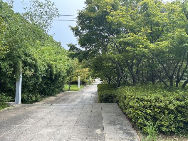 湘府文化公园旅行图片 5