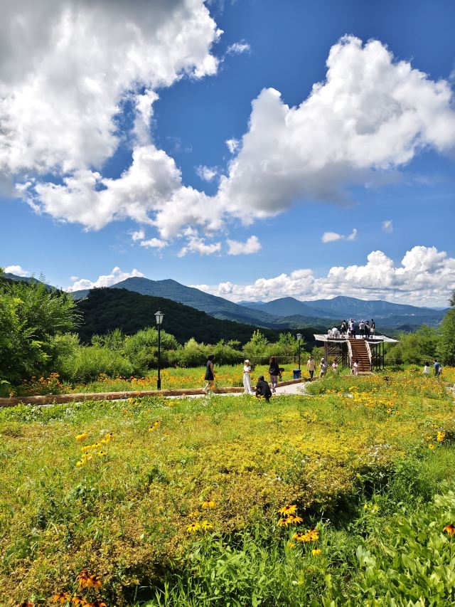 朱雀山国家森林公园旅行图片 2