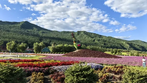 朗鄉花海