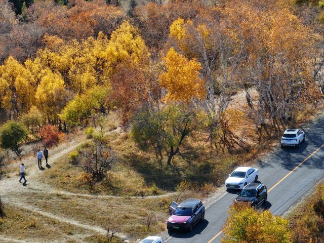 黄岗梁国家森林公园旅行图片 8