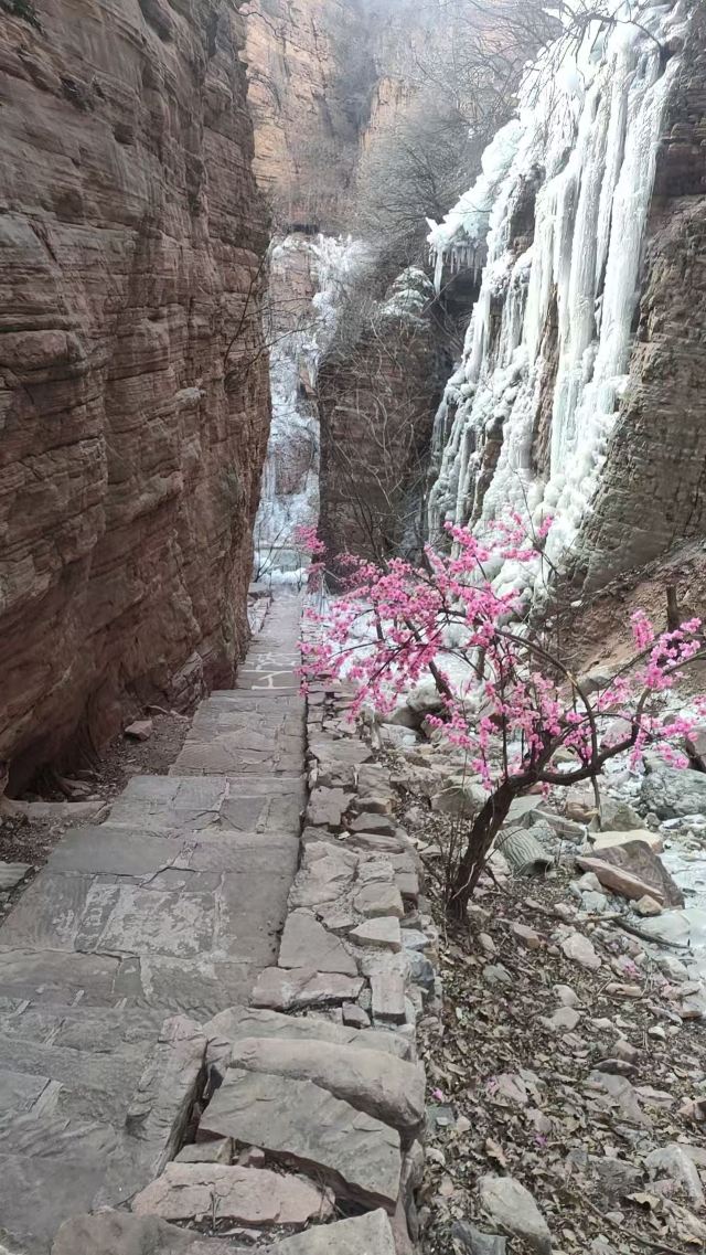 嶂石岩国家地质公园旅行图片 2