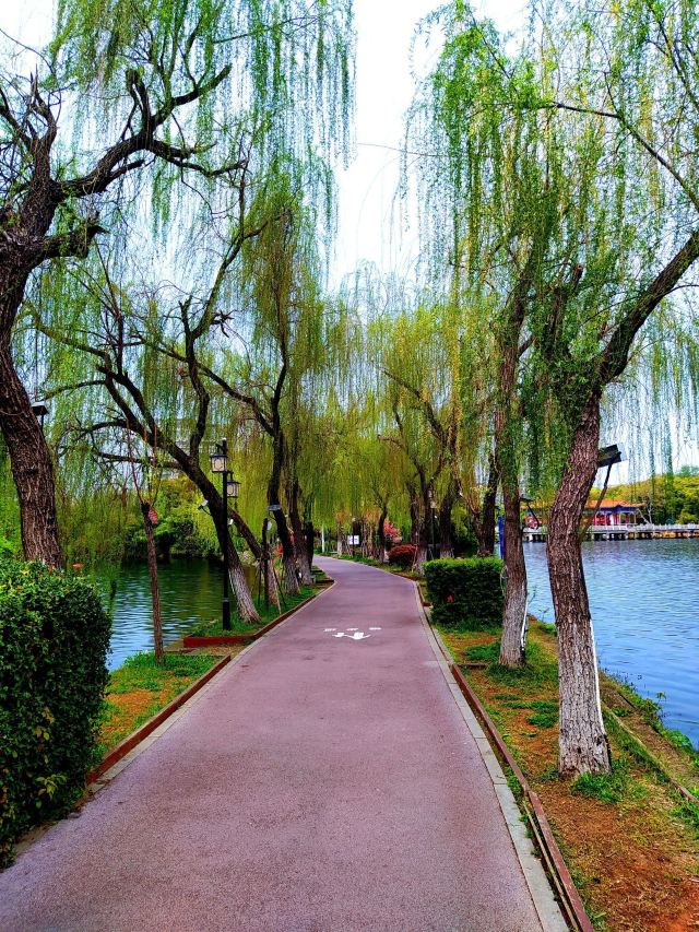 八一公园旅行图片 7