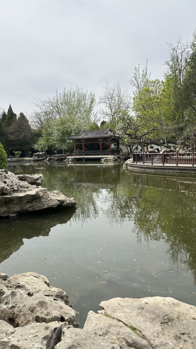 宣武艺园旅行图片 11