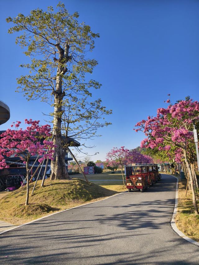 岭南大地百草园旅行图片 2