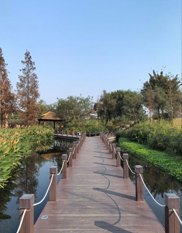 那考河湿地公园旅行图片 2
