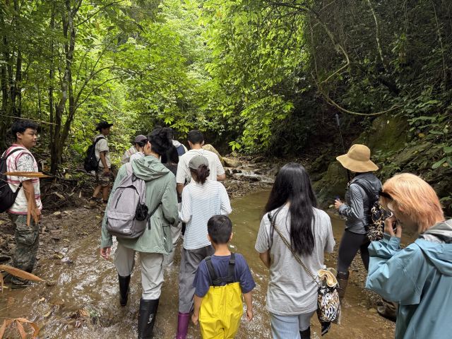 基诺山幽河谷雨林旅行图片 1
