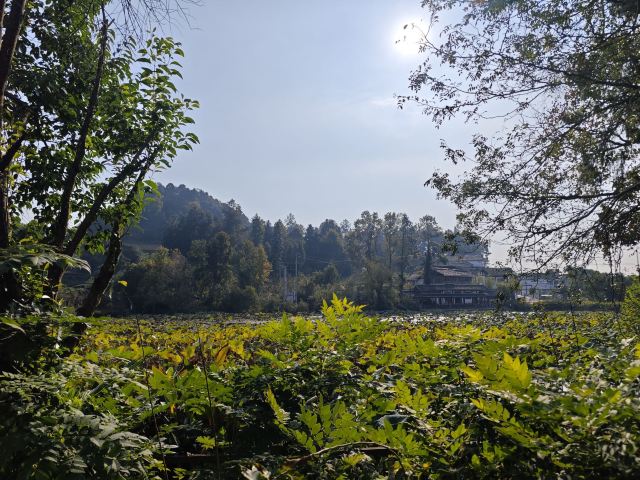 龙里油画大草原旅行图片 1