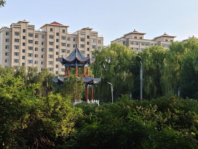 凉州植物园旅行图片 5