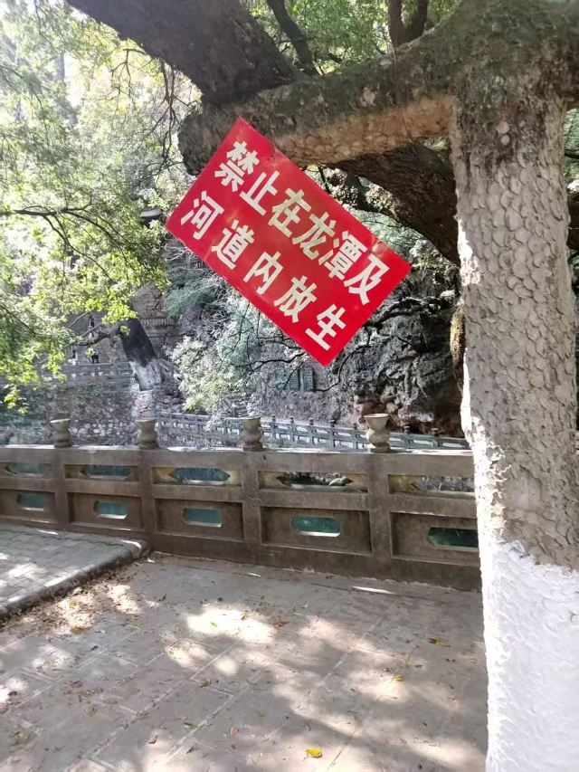 玉溪九龙池古建筑群-九龙宫旅行图片 3