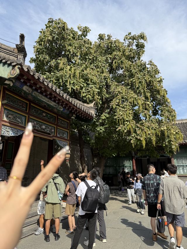 中山路历史文化街区旅行图片 5