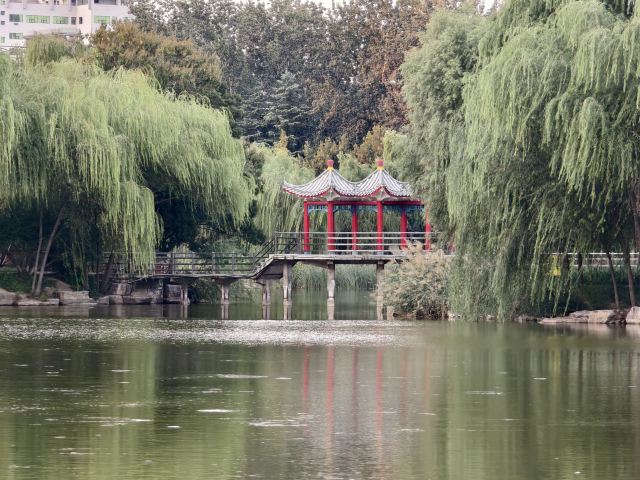 长安公园旅行图片 3