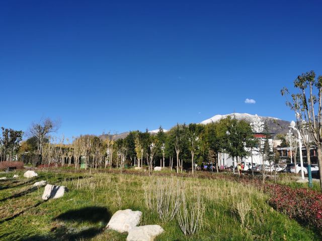 团结公园旅行图片 1