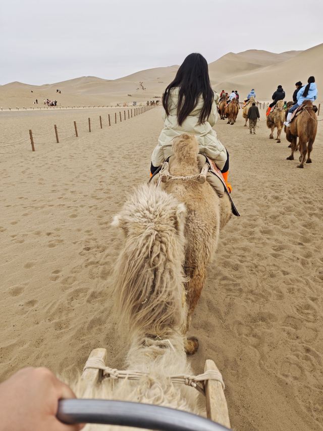 鸣沙山月牙泉旅行图片 2