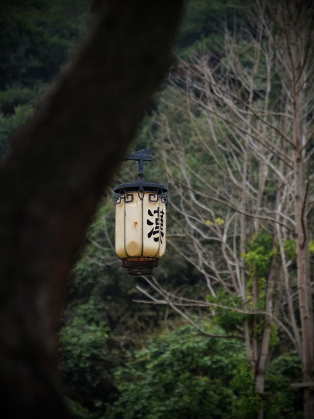 秦汉古道森林公园旅行图片 11
