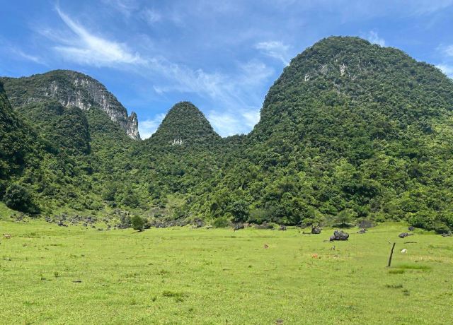 响水石林旅行图片 6