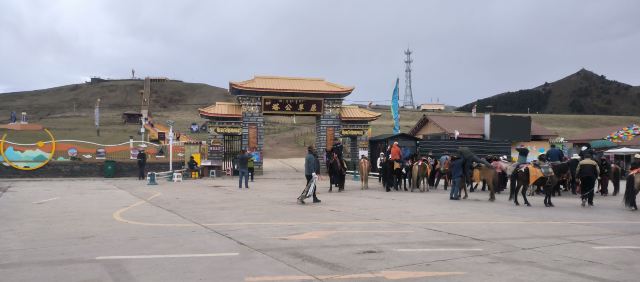 塔公草原旅行图片 1