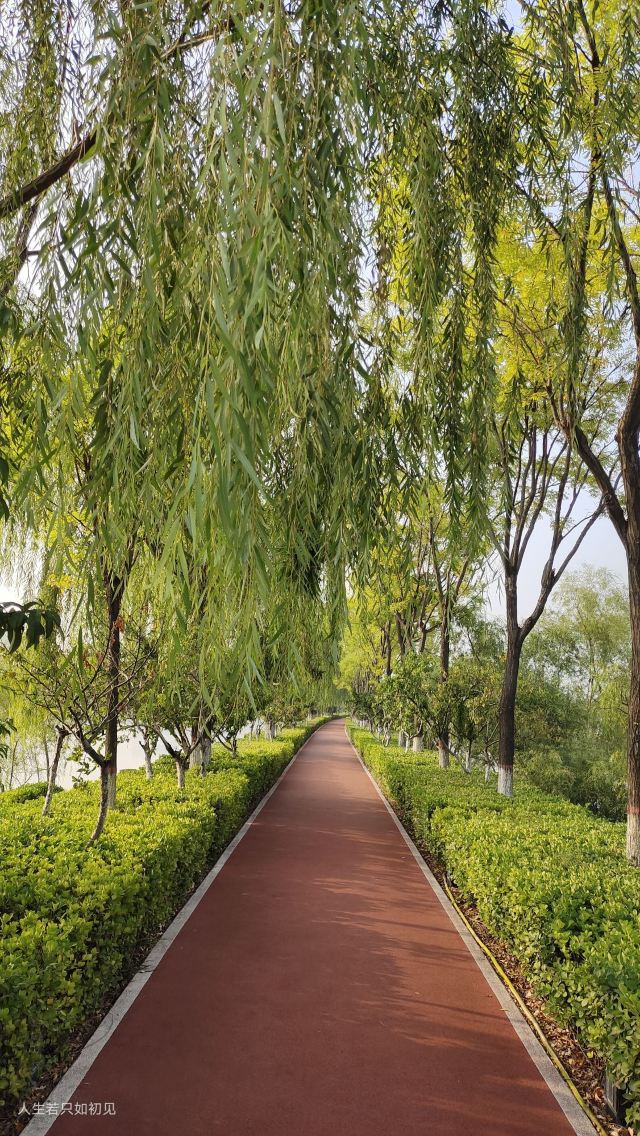 迎泽公园旅行图片 3