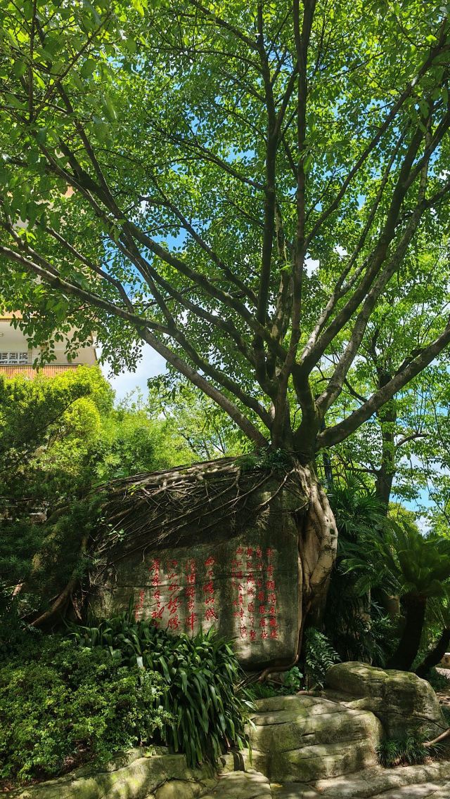 鹅岭公园旅行图片 5