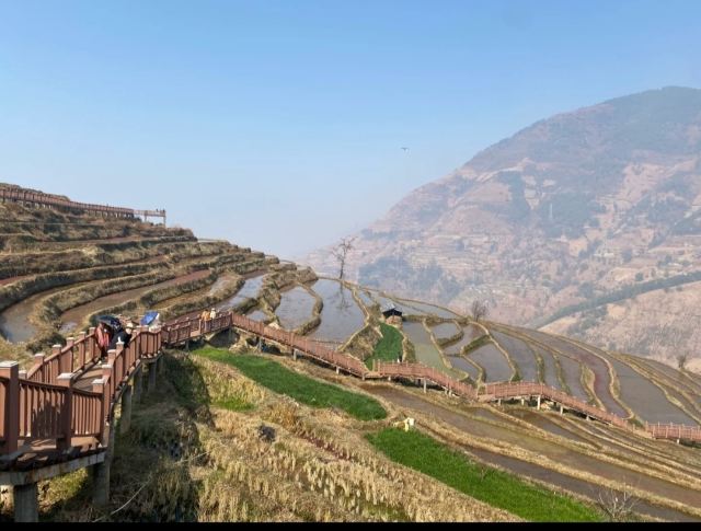 新山梯田旅行图片 3