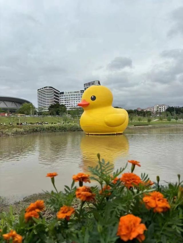 淡水半岛滨水公园旅行图片 6