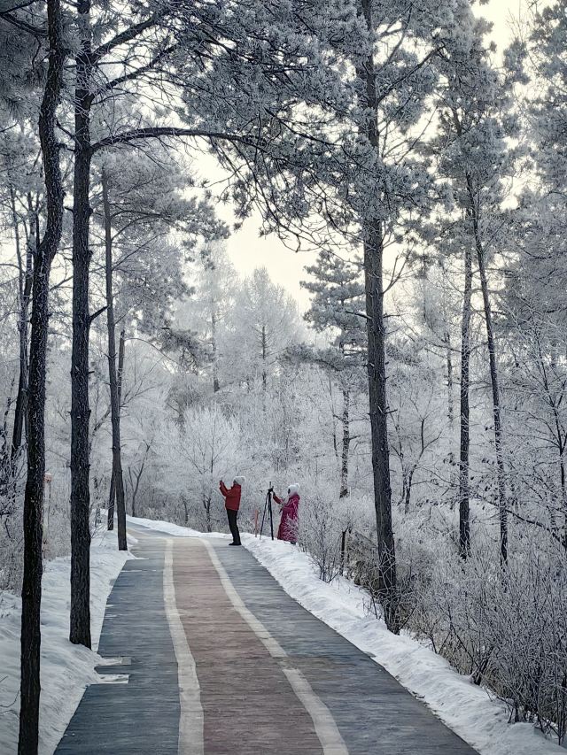 五虎山森林公园旅行图片 1