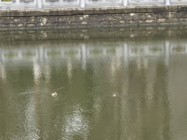 水绘园旅行图片 1