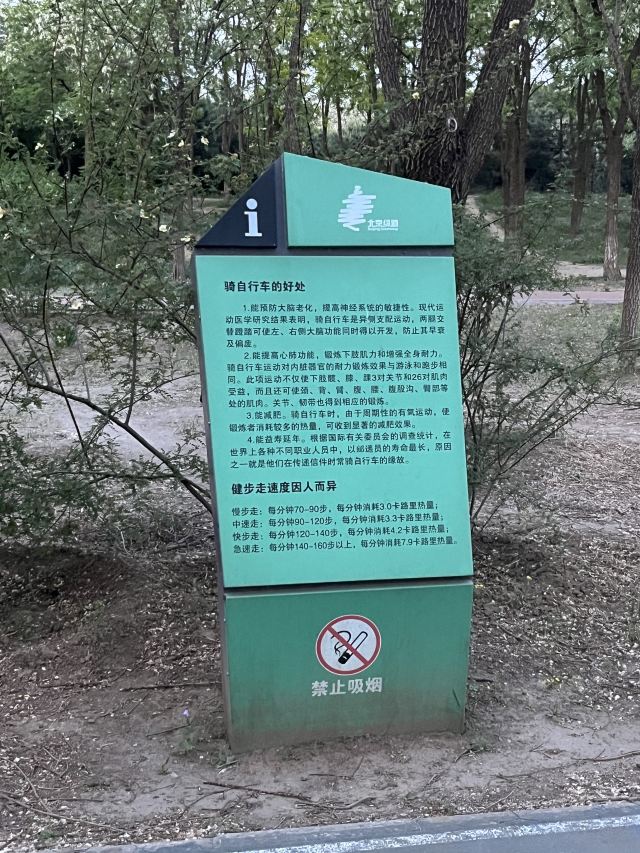 中关村公园旅行图片 4